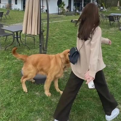 处女